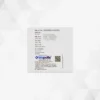 Sitaguide™ - M Back