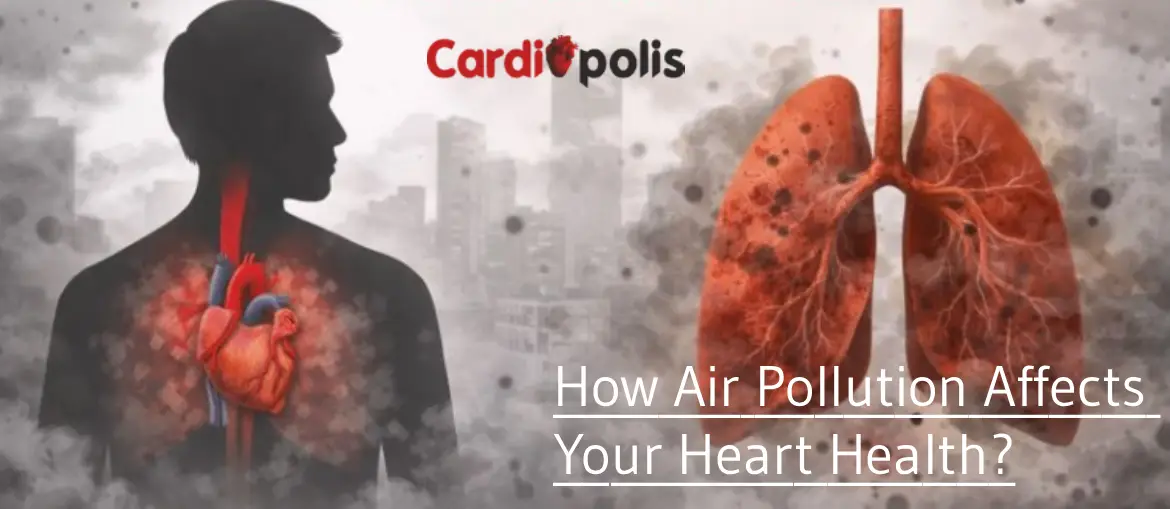 How Air Pollution Affects Your Heart Health?