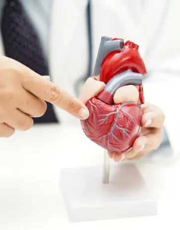 Heart Health