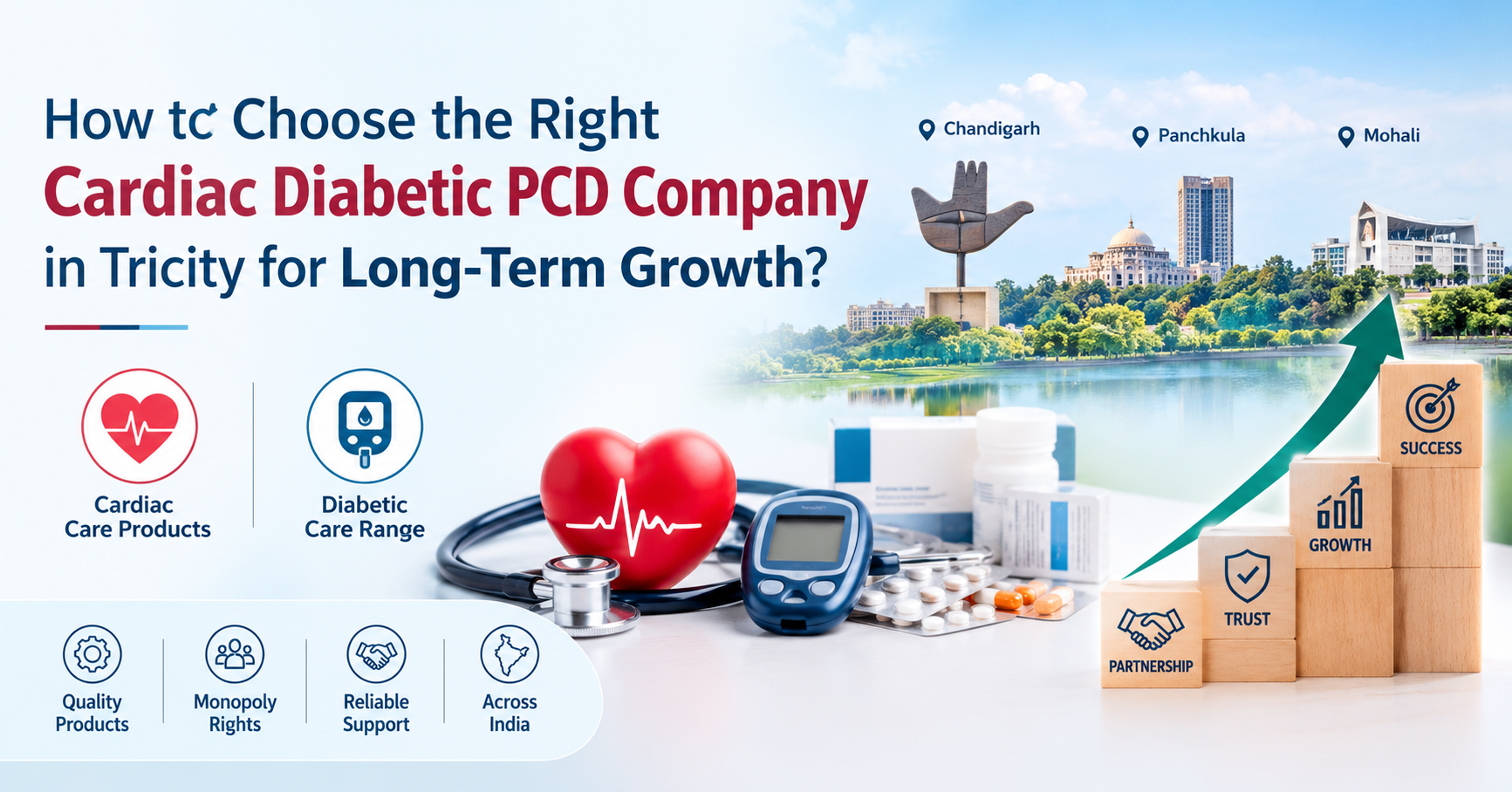 How to Choose the Right Cardiac Diabetic PCD Company in Tricity for Long-Term Growth?